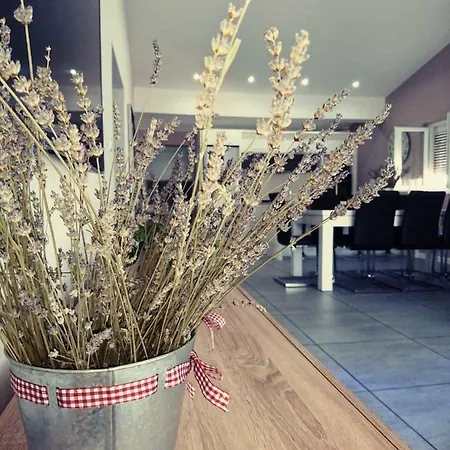 One Appartement